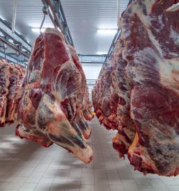 Lokalno meso Savinjska