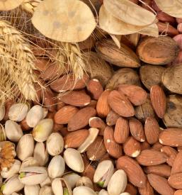 Commercio di cereali Italia e Slovenia