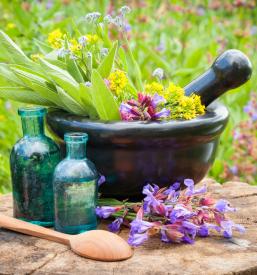 Schusslerjeve soli Grad, Pomurje, okolica