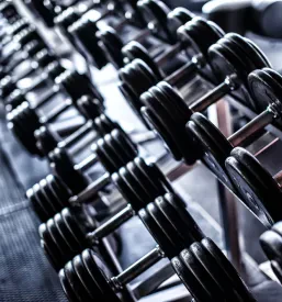 Trening olimpijsko dviganje uteži Ljubljana