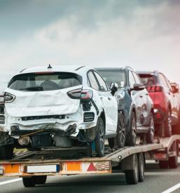 Vleka vozil Divača, Primorska