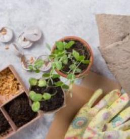 Prodaja kmetijskih pripomočkov in gnojil Ruše