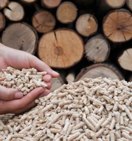 Dobava peletov Murska Sobota