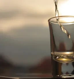 Uvoz XAU vodke v Slovenijo