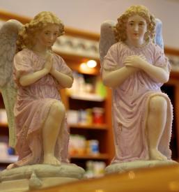 Ugodna prehranska dopolnila Domžale, okolica