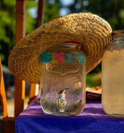 Vrhunska vina Pomurje