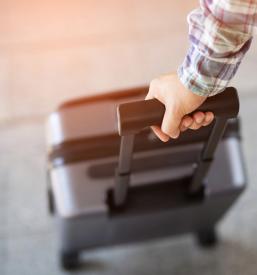 Organizator potovanj v Posavju