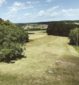 Hladno stiskano bučno olje Šalovci