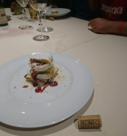 Briška domačija Goriška Brda