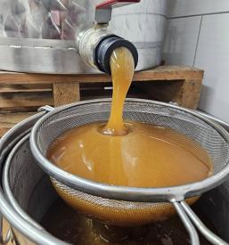 Domač med in medeni izdelki Dolenjska