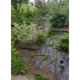 Zeleni Grünt, Benjamin Misleta s.p.