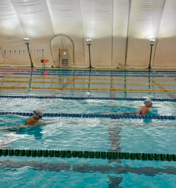 Tečaji plavanja na Ravnah na Koroškem