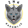 ŽNK Radomlje