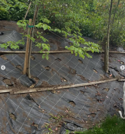 Ugodno urejanje dvorišča Pomurje