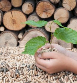 Dobava lesne biomase Koroška