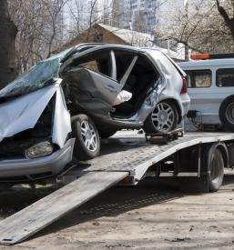 Vlečna služba Divača, Primorska