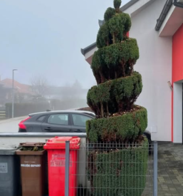 urejanje okolice Pomurje