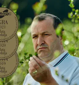 Sok ekološko vzgojene aronije Slovenija