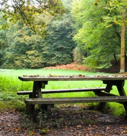 Prostor za praznovanje Kočevska Reka