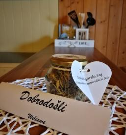 Ekoturizem na Krvavcu 