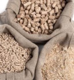 Ugodna gnojila Ruše in okolica