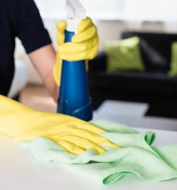 Čistilni servis Bela krajina, Slovenija