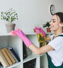 Najboljši čistilni servis Črnomelj, Bela krajina