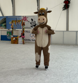 Dogodki za otroke v Bohinju