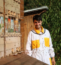 Domač med Dolenjska