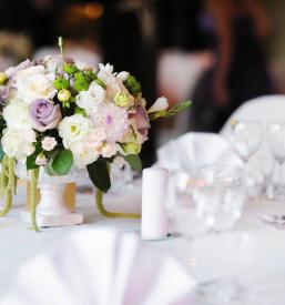 Organizacija dogodkov po celi Sloveniji