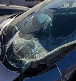 Avtoservis Koper, Primorska