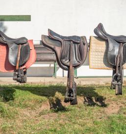 Šola jahanja Radovljica, Gorenjska