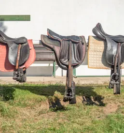 Šola jahanja Radovljica, Gorenjska