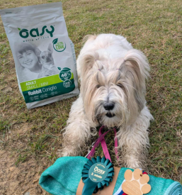 Ugodno šolanje psov Zagorje ob Savi