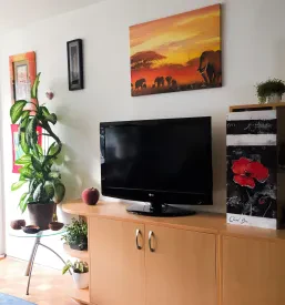 Oddaja apartmaja Ljubljana
