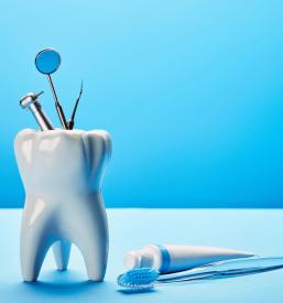 Zobotehnični laboratorij Zreče, Podravska