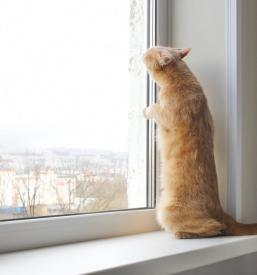 Kvalitetna okna, senčila Slovenija