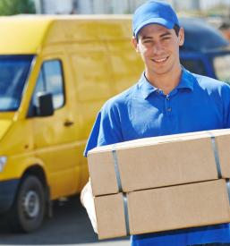 Razvoz paketov za DPD Celje, Savinjska