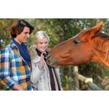 Franci Gregorič s.p.