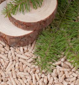 Odkup biomase Slovenj Gradec