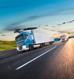 Trasporto di merci su camion in Slovenia e Italia