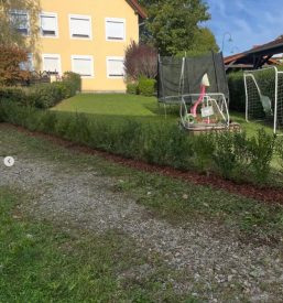 Zasaditev žive meje