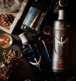 Veleprodaja GiniBee premium tonika Slovenija, Balkan