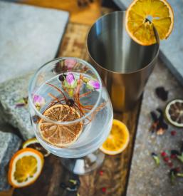 Veleprodaja GiniBee premium gina in tonika Slovenija, Balkan