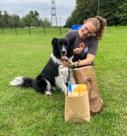 Dobra šola za pse Zagorje
