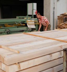 Deciduous and coniferous sawn timber