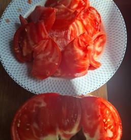 Ekološka kmetija Materija