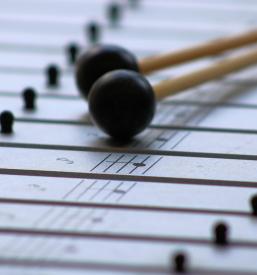 Terapevtska glasbila Osrednja Slovenija