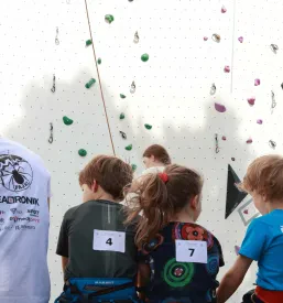 Objave na družbenih omrežjih za podjetja Slovenska Bistrica