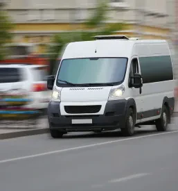 Selitve blaga Novo mesto, Dolenjska